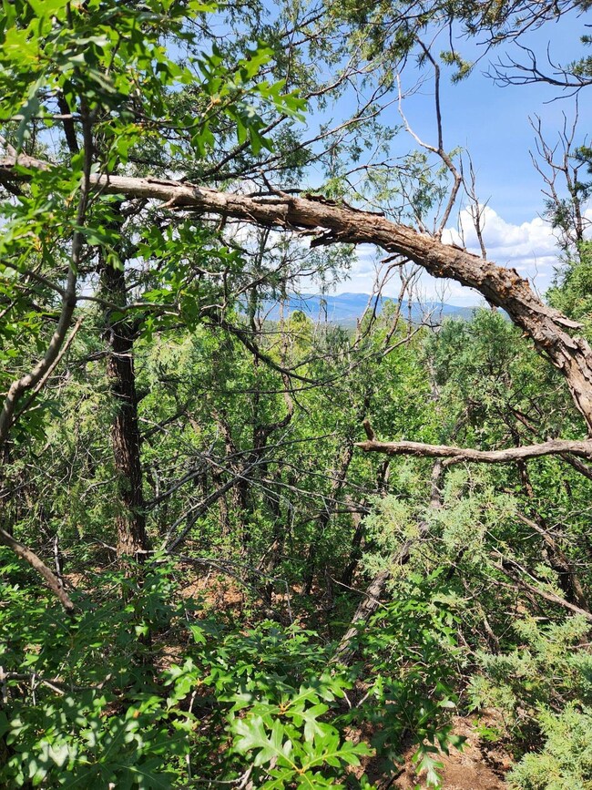 5 Spies Rd, Ponderosa Pine, NM 87059 - photo 6