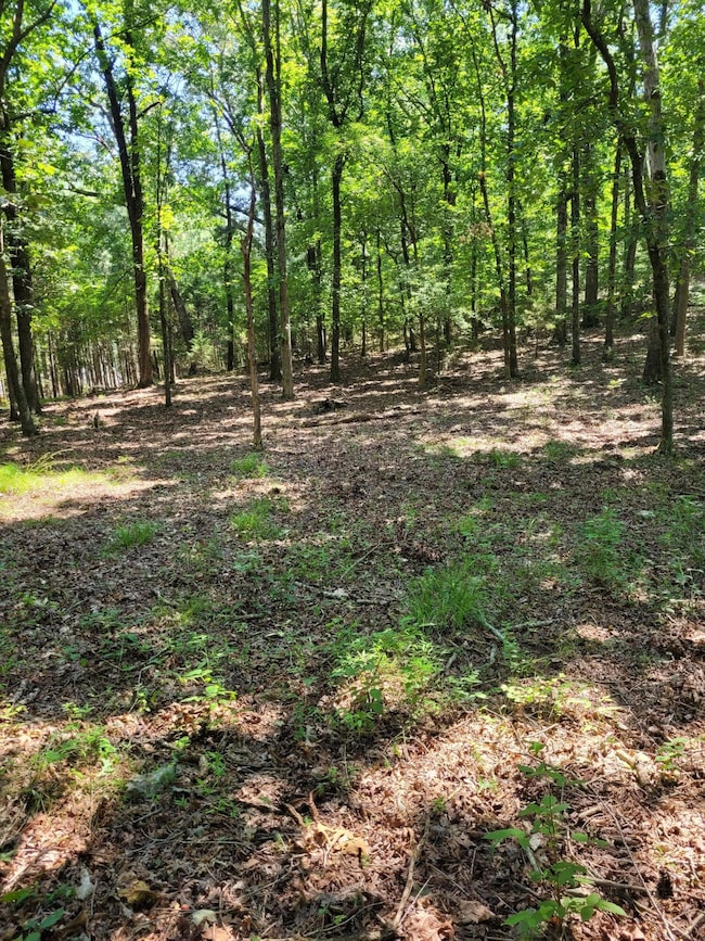 7000 Three Notch Rd, Ringgold, GA 30736 - photo 5