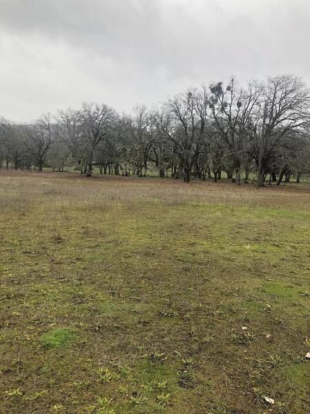 11950 Blackwell Rd, Central Point, OR 97502 - photo 4