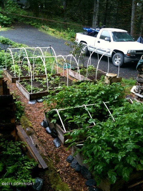 Raised Organic Garden Beds