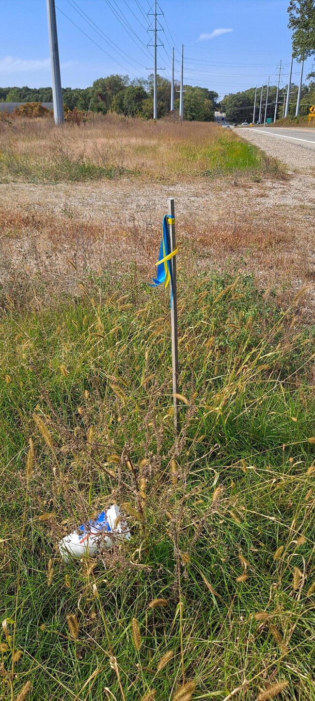 62766 M-40, Antwerp Township, MI 49065 - photo 3