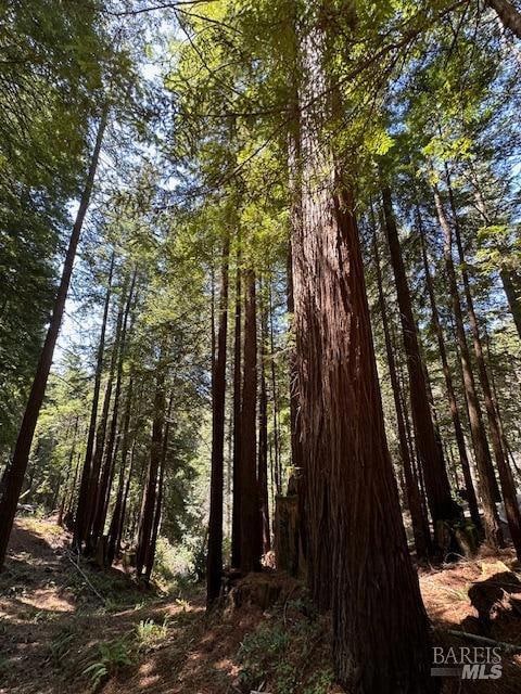 22051 Rust Dr, Timber Cove, CA 95450 - photo 5