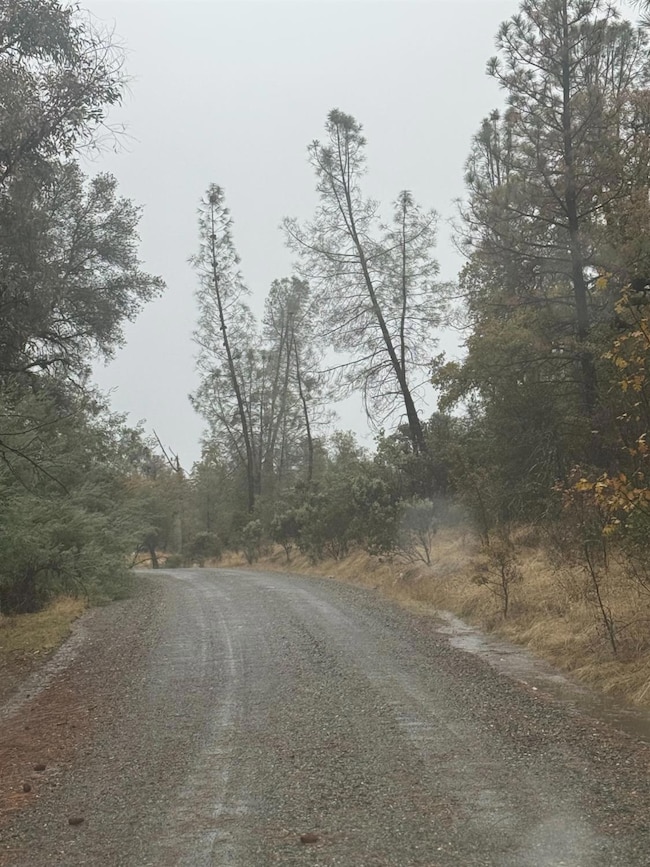 13710 Yuba Nevada Rd, Dobbins, CA 95935 - photo 2