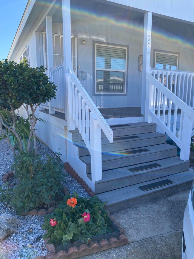 Front steps.