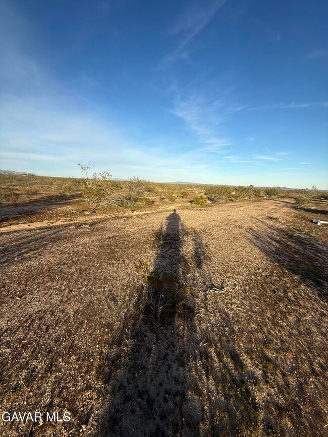 0 Vac 10th and Wonder Ave unit 25009115, Mojave, CA 93501 - photo 5