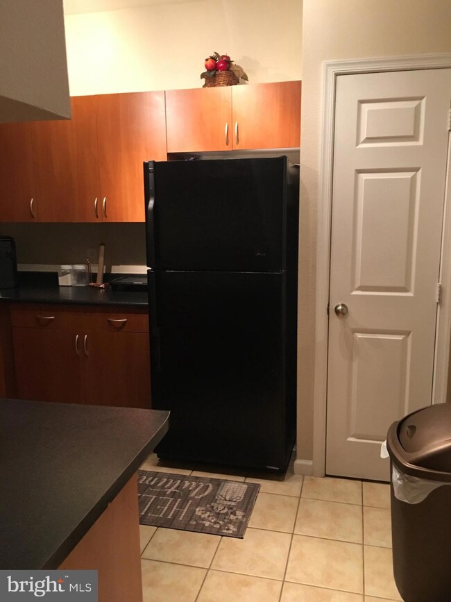 13503 Kildare Hills Terrace unit 201, Germantown, MD 20874 - photo 6