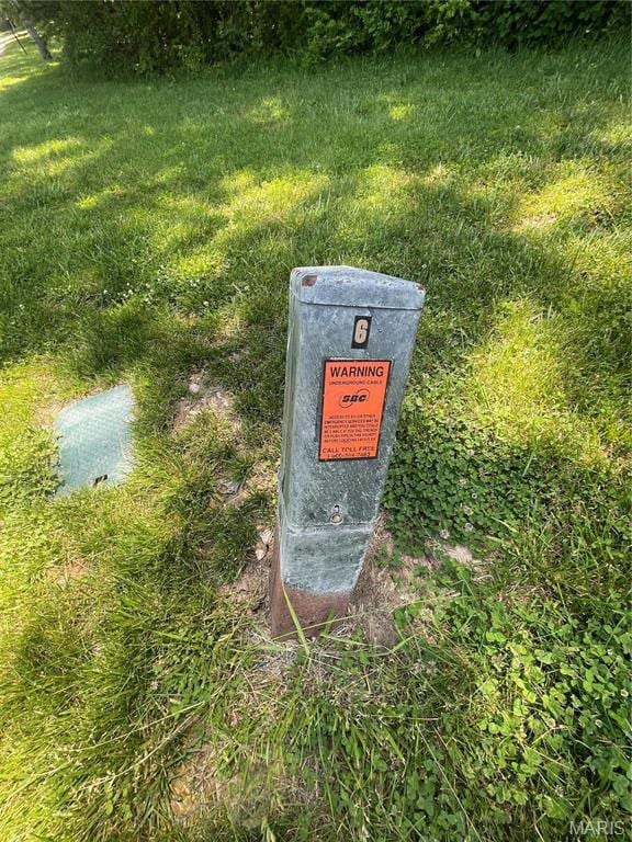 2016 Las Brisas Ln, Pacific, MO 63069 - photo 6