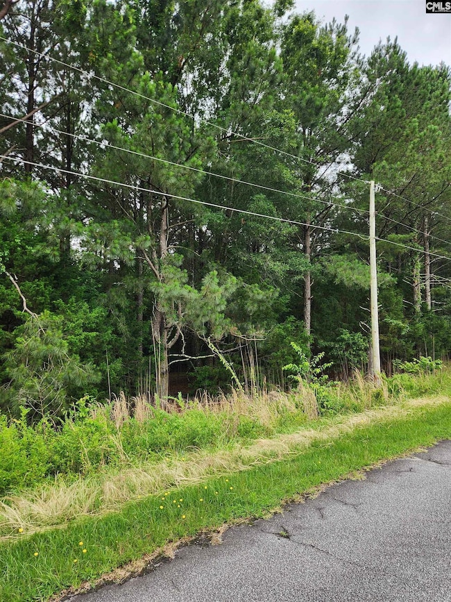 0 Elm St, Prosperity, SC 29127 - photo 7