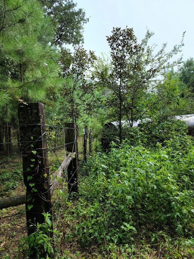 Lot 3 County Road 702, Nacogdoches, TX 75964 - photo 4