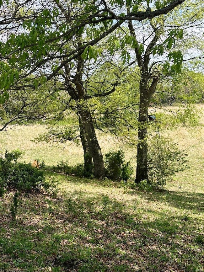 0 Marble Hill Rd, Poplar Bluff, MO 63901 - photo 5