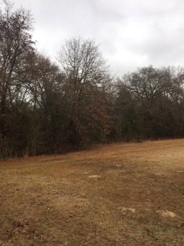 TBD Cr 1316, Malakoff, TX 75148 - photo 7