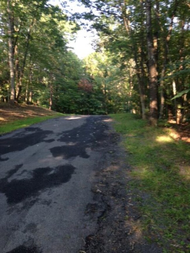 0 Lee Dr unit 580075, Basye, VA 22810 - photo 4