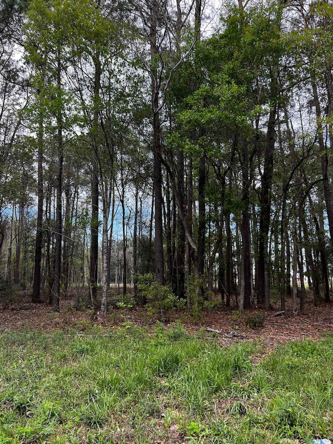 1705 Essence Ln, Orange, TX 77630 - photo 2