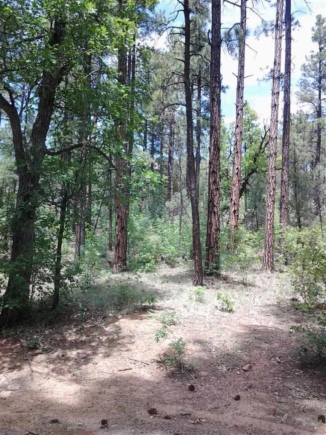 1100 Waterway Ln, Show Low, AZ 85901 - photo 2