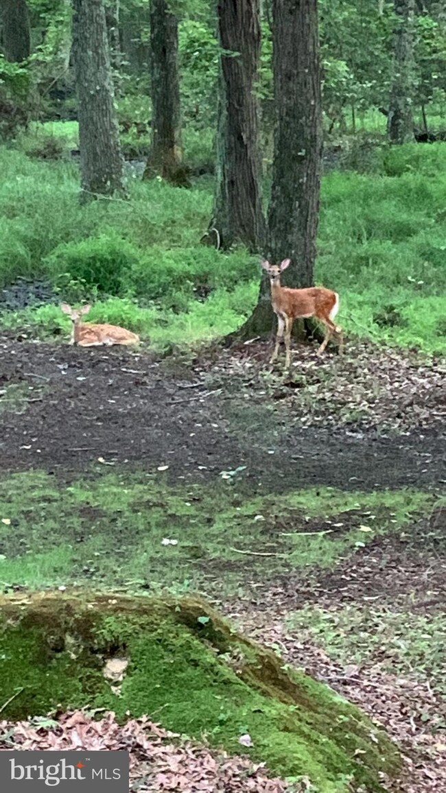 22300 Frazier Rd, Rock Hall, MD 21661 - photo 2