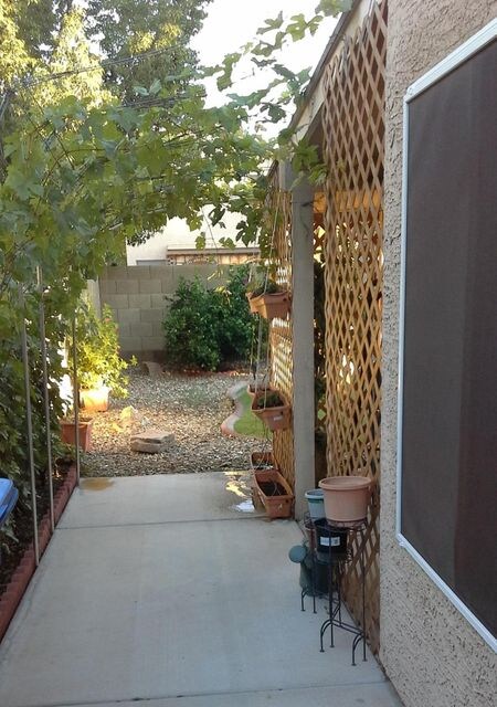 Whitten Backyard Walkway