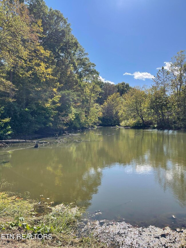 E7E9FA9E-C939-4EDE-85FB-DD5F0A228BF6