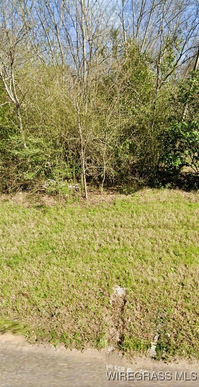 1040 County Road 665, Chancellor, AL 36316 - photo 6