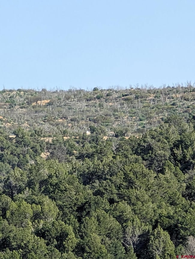 TBD Indian Route 111 Rd, Durango, CO 81303 - photo 4