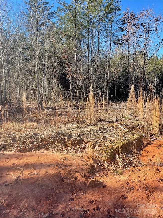 0 Springbrook Ln unit CAR4330953, Rutherfordton, NC 28117 - photo 3