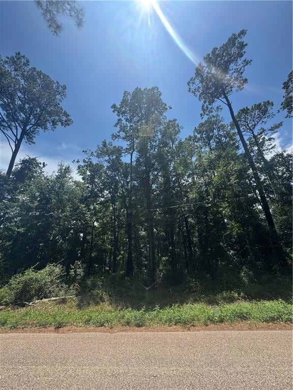 0 Lucille Dr unit 2512700, Lacombe, LA 70445 - photo 3