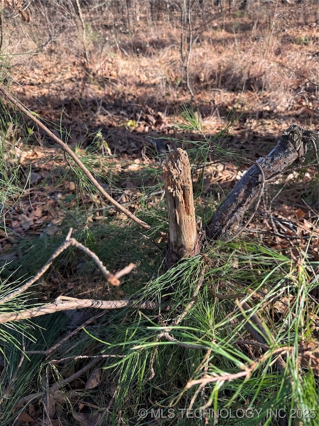 0 4540 Rd, Vian, OK 74962 - photo 4