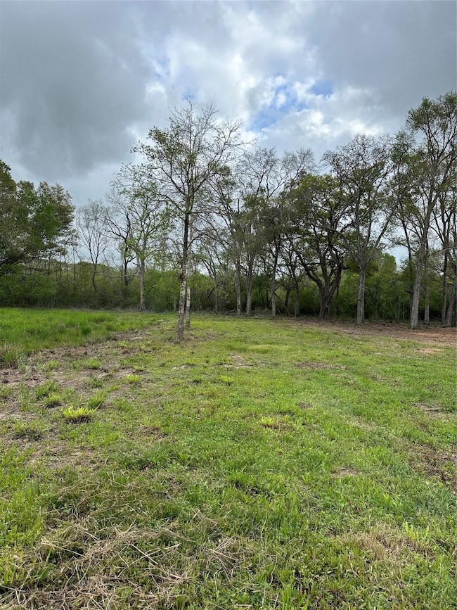 0 County Road 567, Rosharon, TX 77583 - photo 2