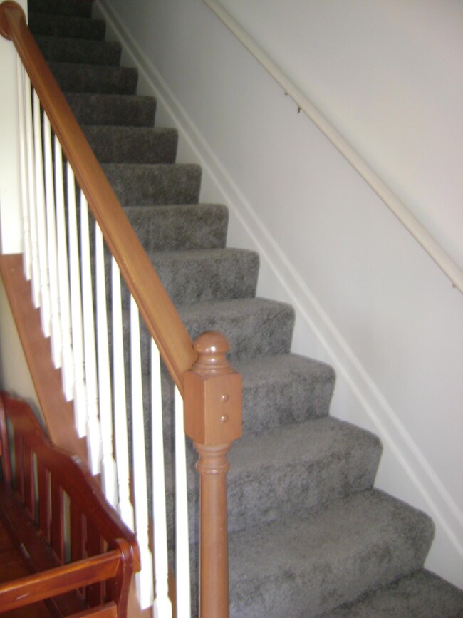 brand new carpet on the stairs