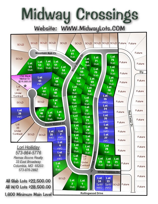 Black Walnut Ct Lot and Map
