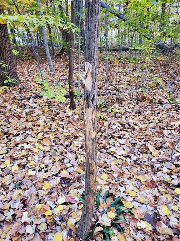 1070-1071 E Mohican Trail, Fugit Township, IN 47240 - photo 3