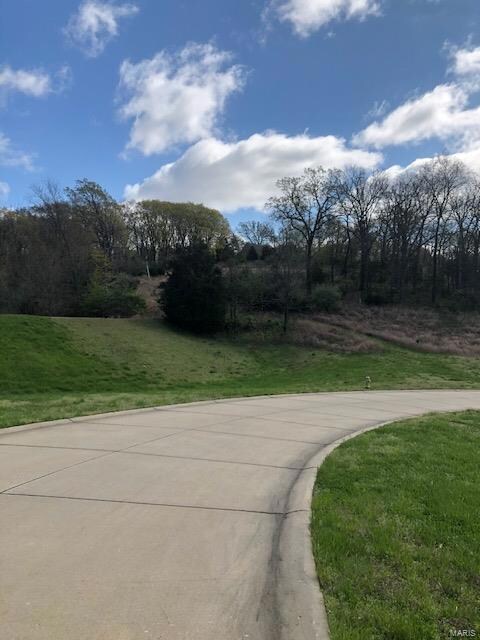 1129 Breton Woods Ct, Chesterfield, MO 63005 - photo 6