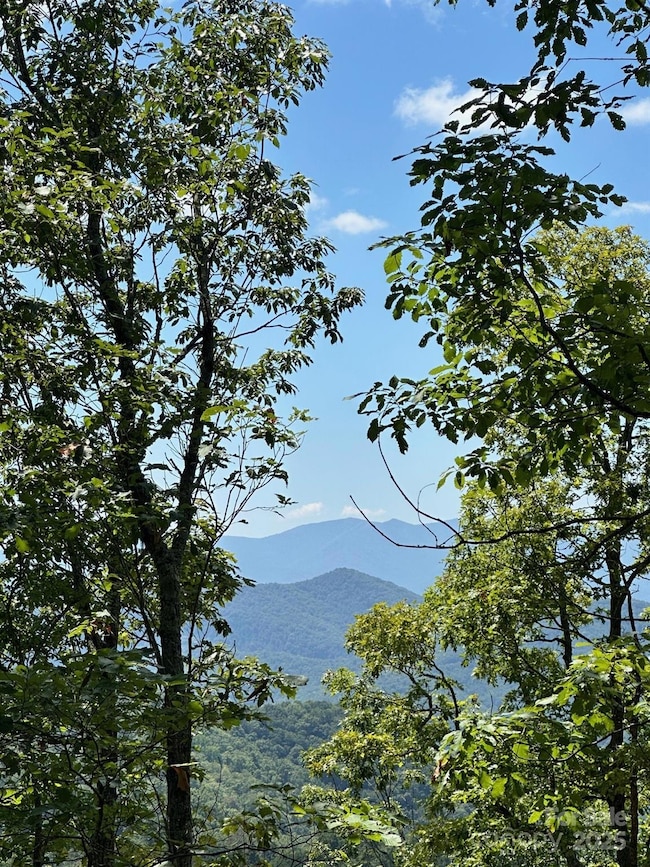 00 Falls View Rd unit 70, Bryson City, NC 28713 - photo 5