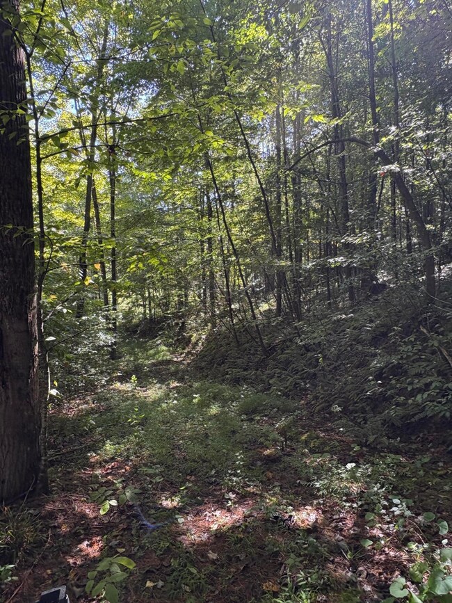 0 Morris Branch Rd unit 25-1144, Meadow Bridge, WV 25976 - photo 5