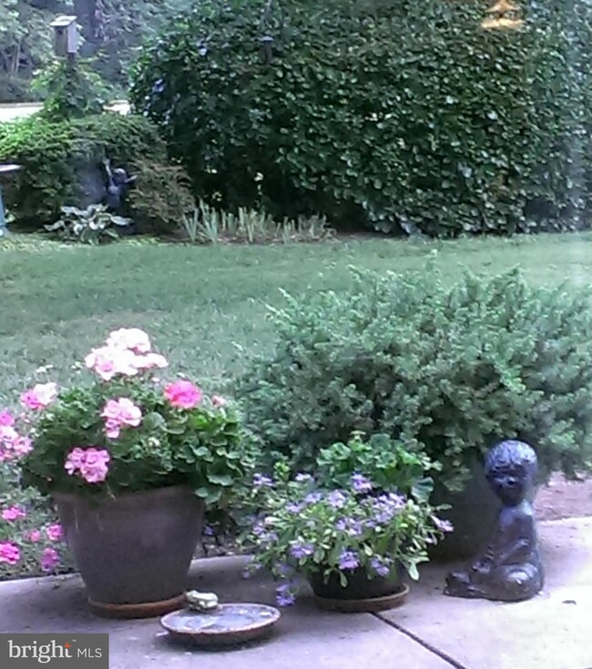 24580 Deepwater Point Dr unit 3, Saint Michaels, MD 21663 - photo 3