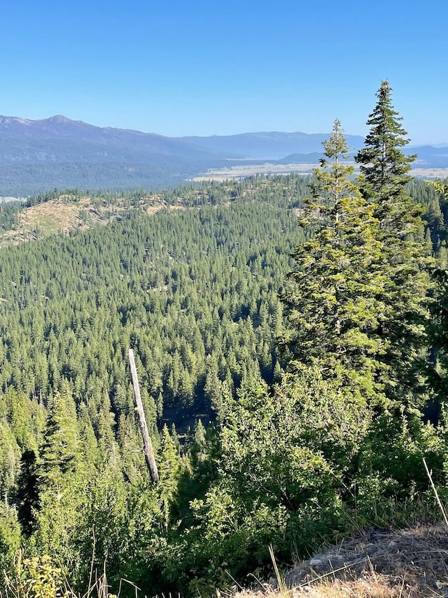 Tbd 80 W Fork Creek Rd, Cascade, ID 83611 - photo 6