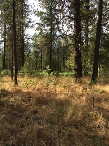 234 Eagle Dr, Chewelah, WA 99109 - photo 3