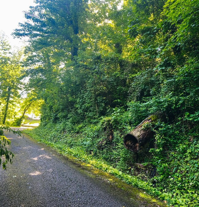 0 Red Oak Dr unit RTC2332729, Chattanooga, TN 37415 - photo 4