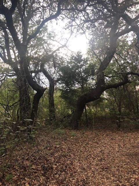 408 Forest Trail, Weatherford, TX 76085 - photo 4