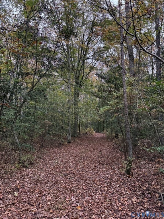 TBD Oaks Ln, Shacklefords, VA 23156 - photo 4