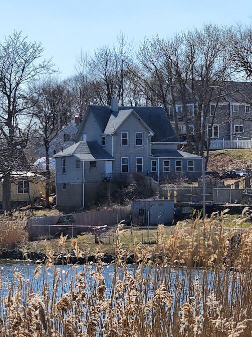 Pond View