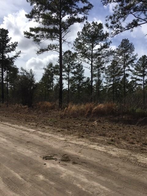 Lots 104 Colonial Coast Cir NE, Townsend, GA 31331 - photo 3