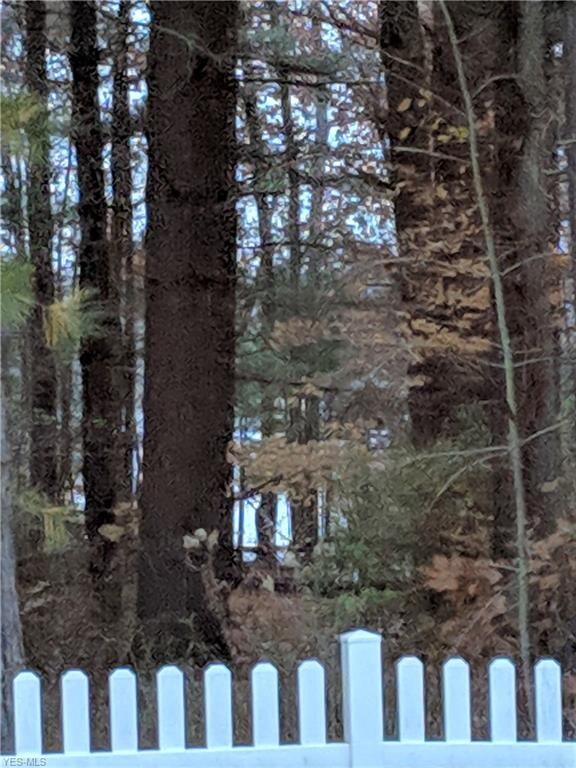 YES THAT IS THE LAKE JUST BEYOND THE TREES ACCESSI