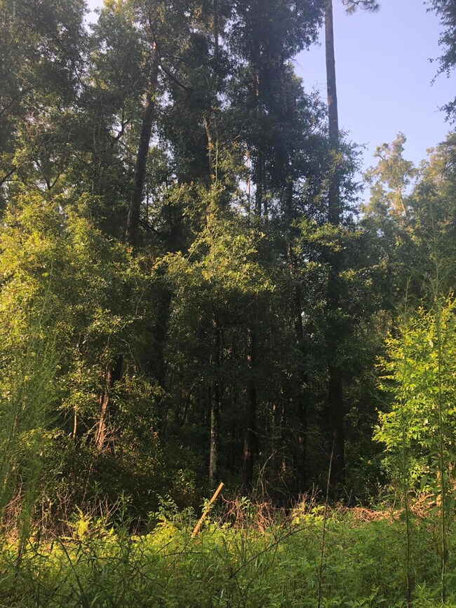 0 280th St unit 942810, Branford, FL 32008 - photo 4