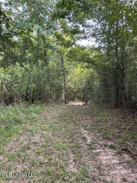 Woods trail