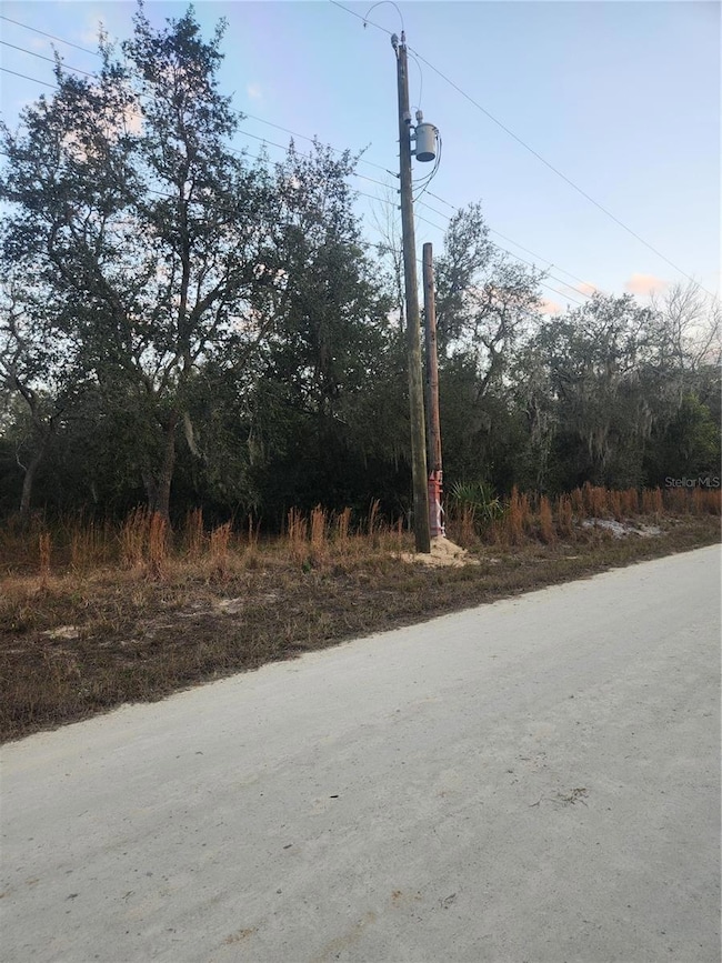 6363 N Sourgum Terrace, Hernando, FL 34442 - photo 3