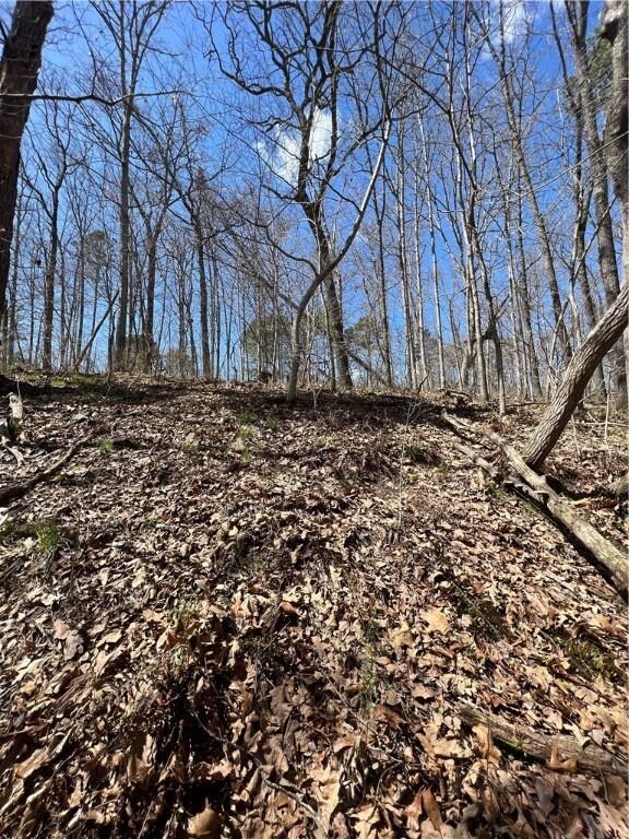 0 St Austell Dr unit 1214972, Bella Vista, AR 72714 - photo 5