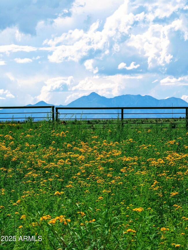 Mountain Views