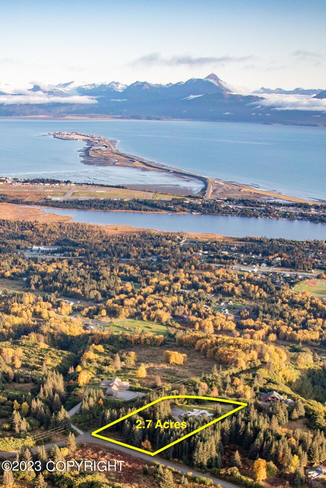 509 Fireweed from the sky