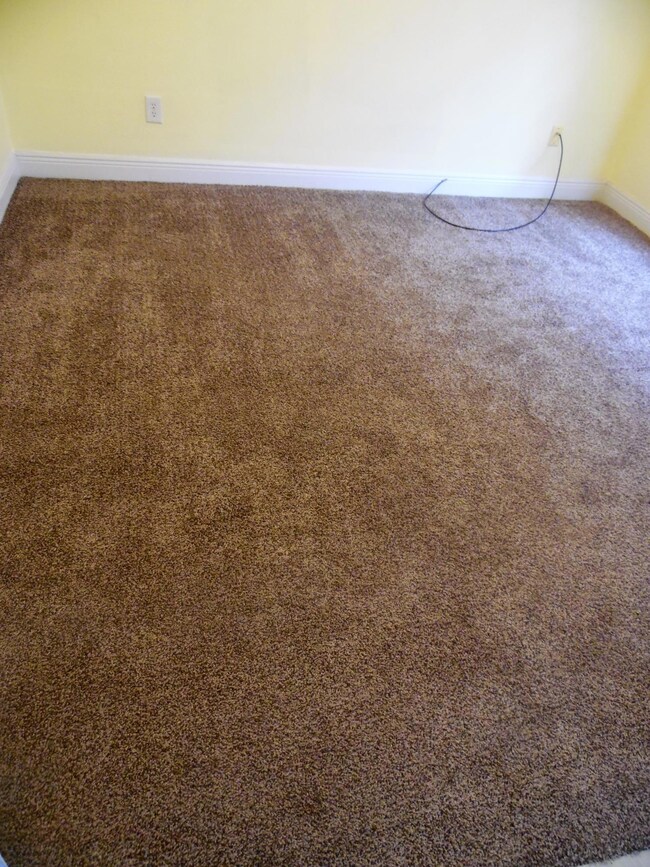 Front Room view of new carpet