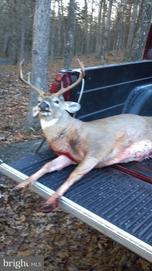 24 Trough Rd, Moorefield, WV 26836 - photo 3